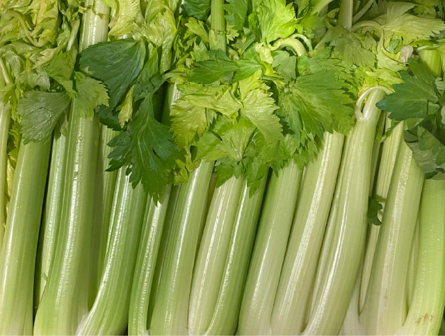 セロリ