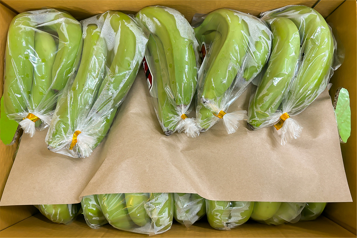 タイ国産バナナ（グロスミッシェル種）