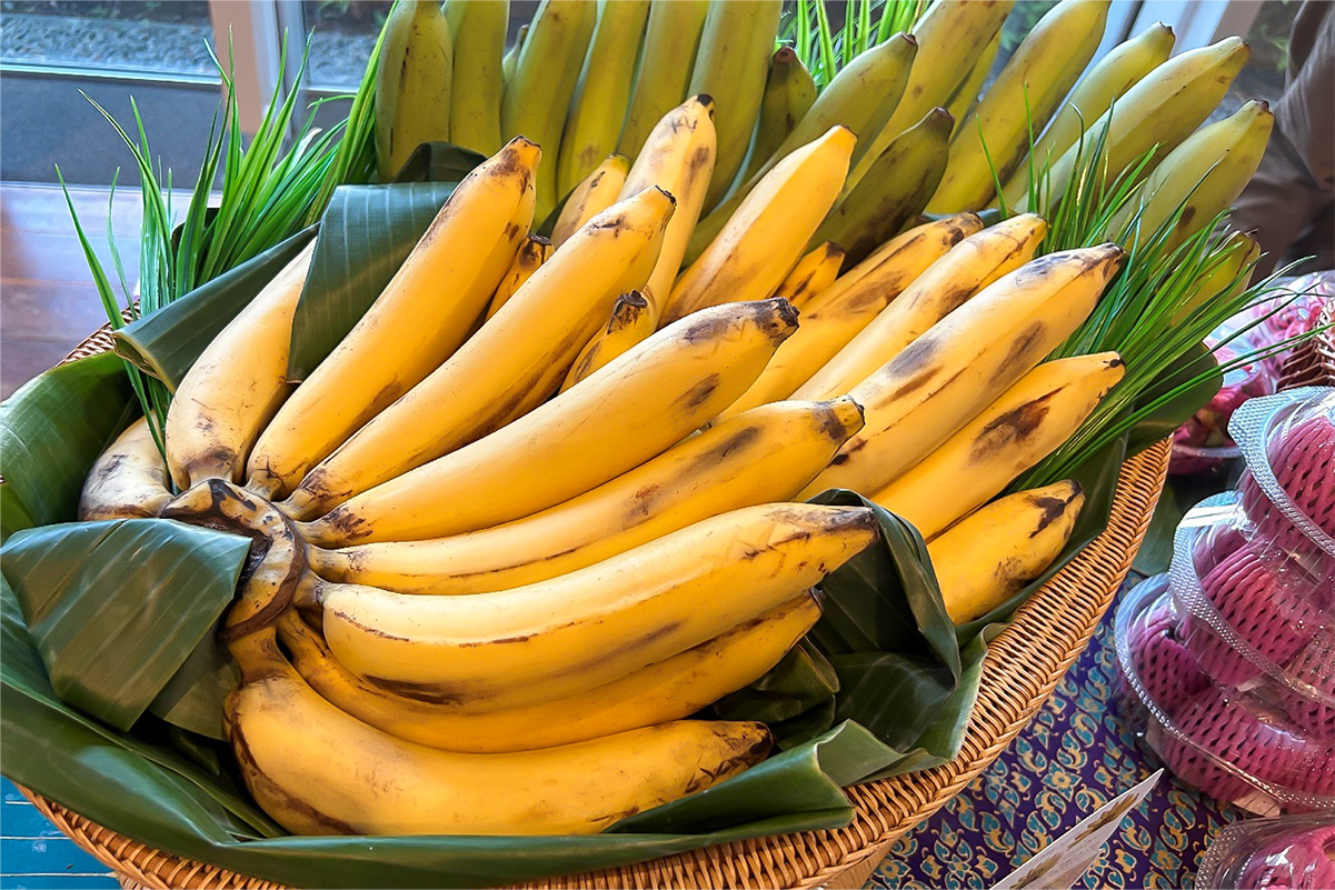 タイ国産バナナ（グロスミッシェル種）