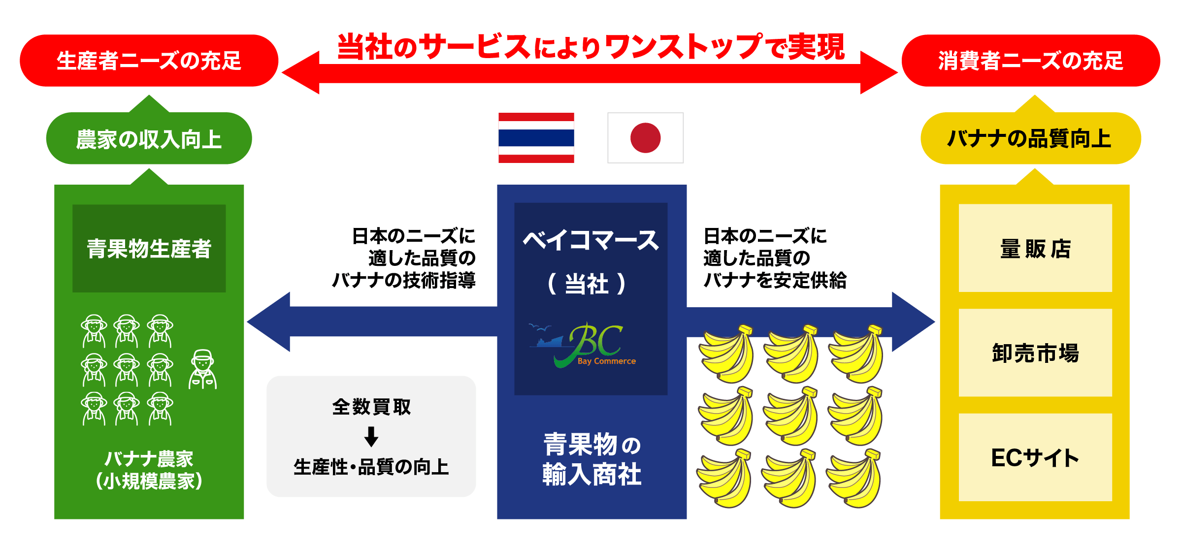 日本のニーズに適した品質のバナナの技術指導をおこない、日本のニーズに適した品質のバナナを安定供給。生産者ニーズの充足と、消費者ニーズの充足を、当社のサービスによりワンストップで実現。